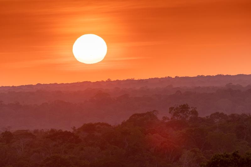 Sonnenuntergang, aufgenommen von einer Plattform des ATTO-Turms in 15 m Höhe über dem Baumkronendach. 