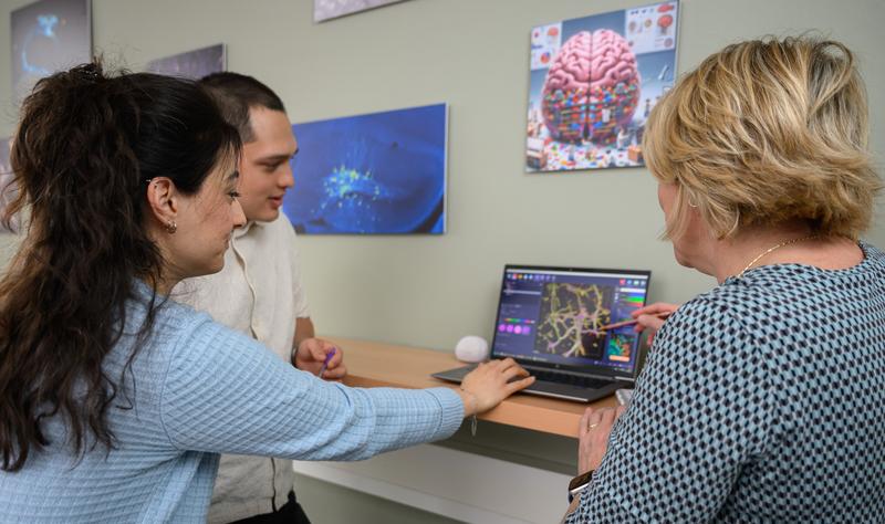 Esra Türker und Mateo Andrade Mier aus der Arbeitsgruppe von Prof. Dr. Carmen Villmann (Klinische Neurobiologie, UKW) entwickelten ein 3D-Krankheitsmodell, das die Veränderung des Netzwerks der Nervenzellen bei einem Brusttumor im Gehirn zeigt. 