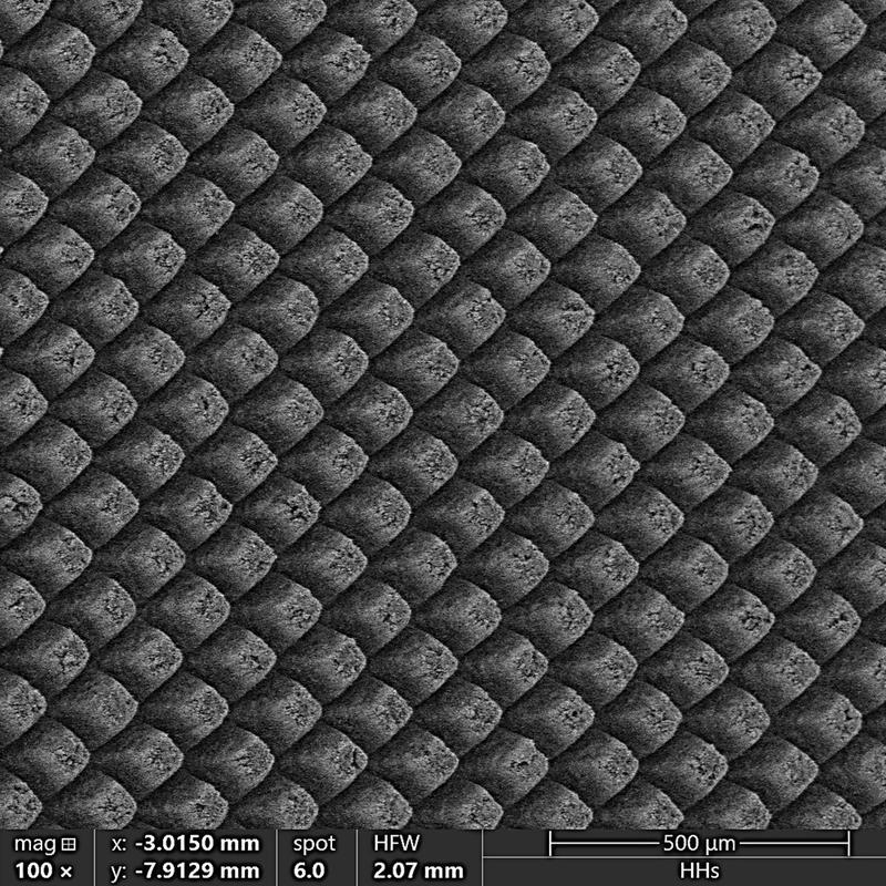 REM image of a microstructure generated by an ultrashort pulse laser on the surface of a solid electrolyte. 