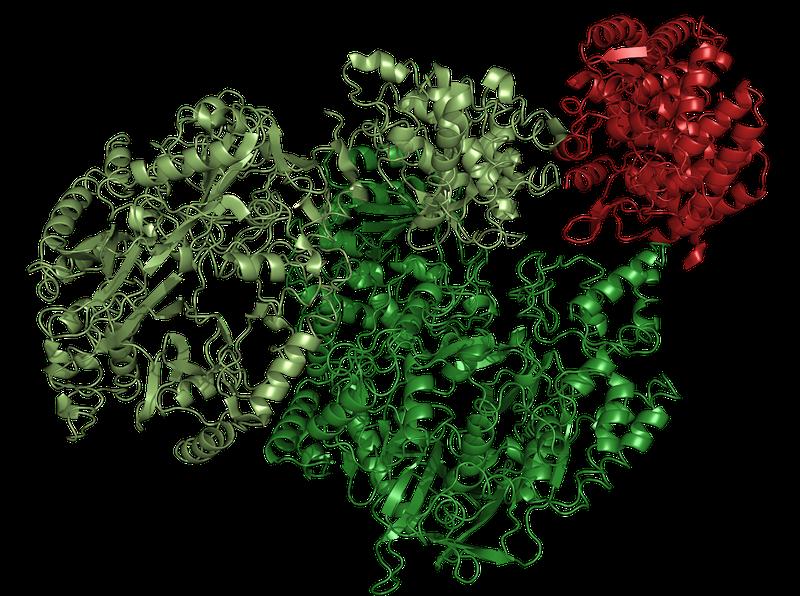 Ergebnis einer Strukturaufklärung. Ausführliche Bildunterschrift am Ende des Meldungstextes.