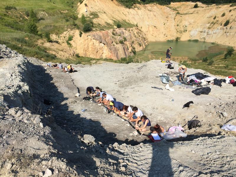 Ausgrabungen an der Fossilienfundstätte Iharkút in Ungarn.