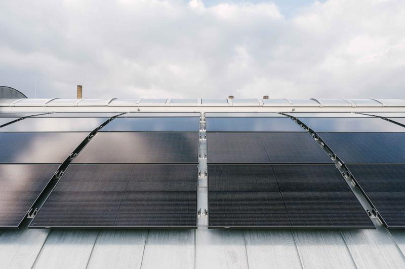 Solarpanels auf einem Dach am Campus Wilhelminenhof