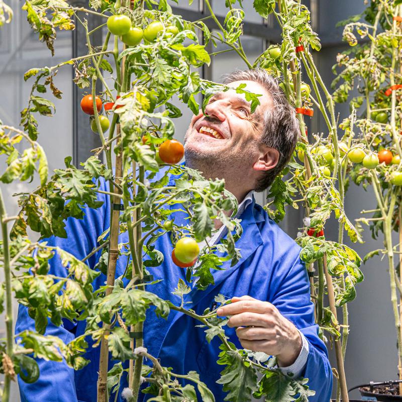 CIBSS scientist Prof. Dr. Thomas Ott.  