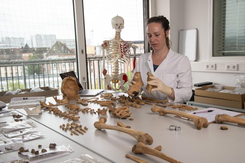Dr Katharina Fuchs examines bones from archaeological sites in the Laboratory for Human Osteology at Kiel University.