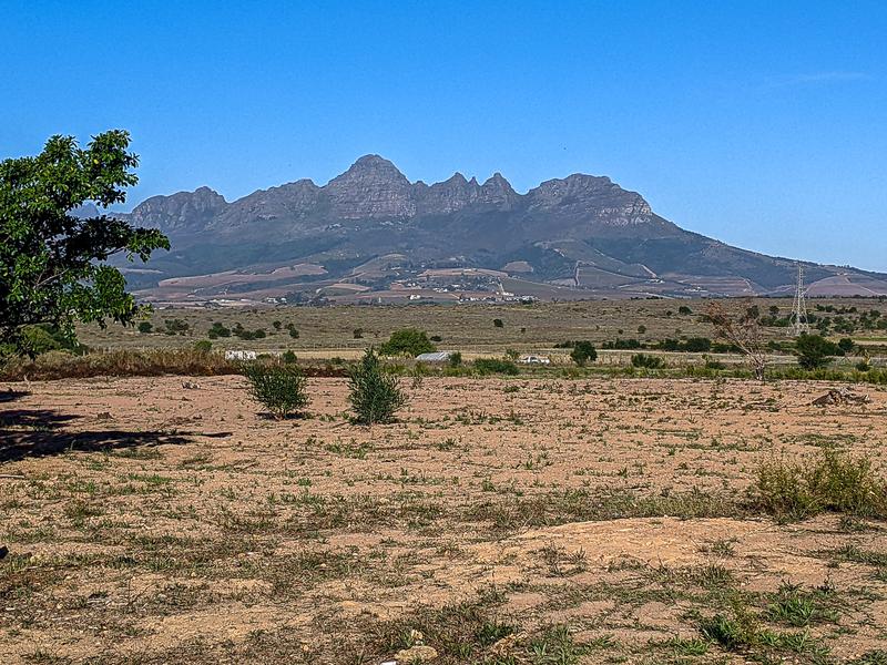 Das karge Farmland für den Inkubator in Lynedoch.