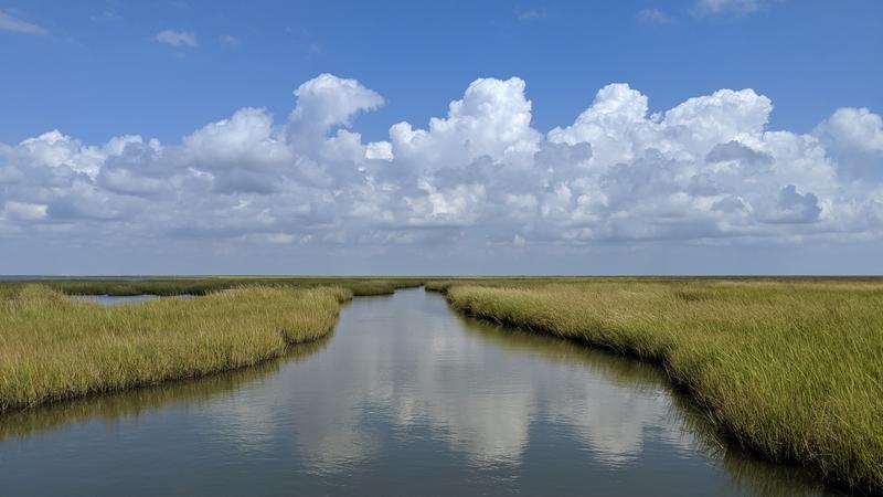 Erste Weltkarte zeigt Einfluss der Gezeiten auf Küstenflüsse