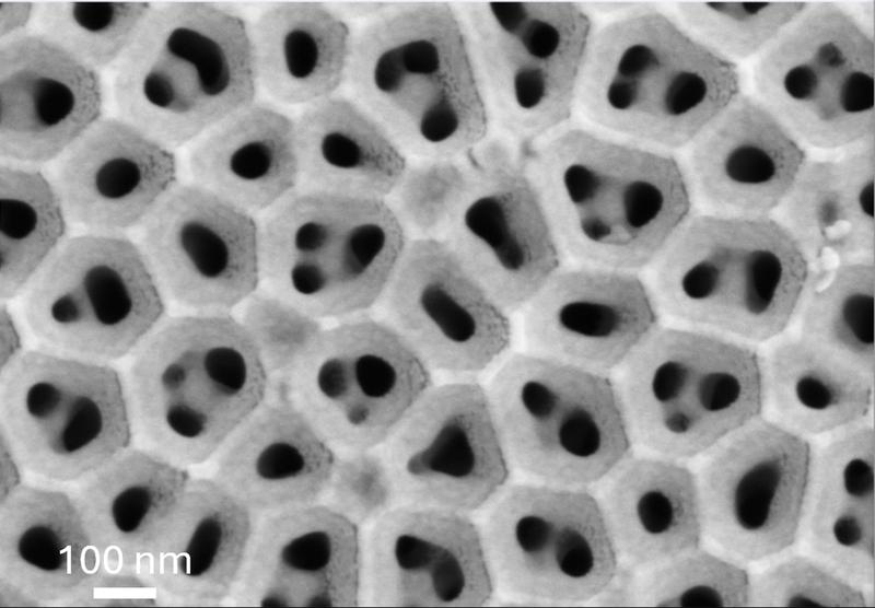 Plan-view scanning electron microscopy image of the fabricated ion pump. 