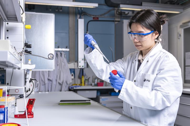 «Das Chromatin scheint sich mit dem Alter gewissermassen zu öffnen», erklärt die PSI-Forscherin Yawen Liao das Ergebnis ihrer Forschung. «In der Folge kommt es vermehrt zu Fehlaktivierungen.» 