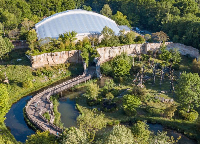 Am Wolfgang-Köhler-Primatenforschungszentrum erforscht ein internationales Forschungsteam das Verhalten und die zugrundeliegenden Kognitionen von vier Menschenaffenarten.