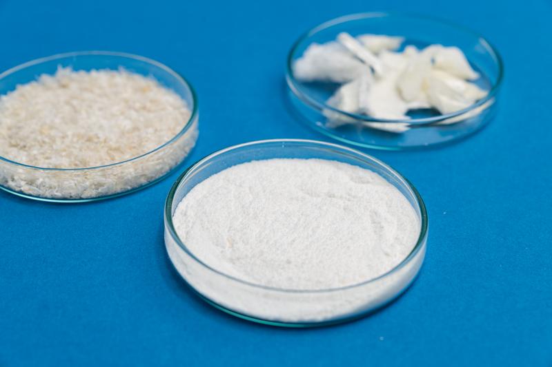 To produce high-purity chitosan from insect exoskeletons, chitin is isolated, purified, and converted.