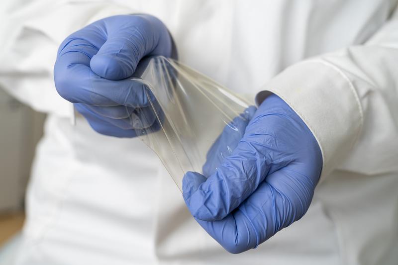 Chitosan films are well-suited for packaging applications due to their balanced elasticity and transparency.