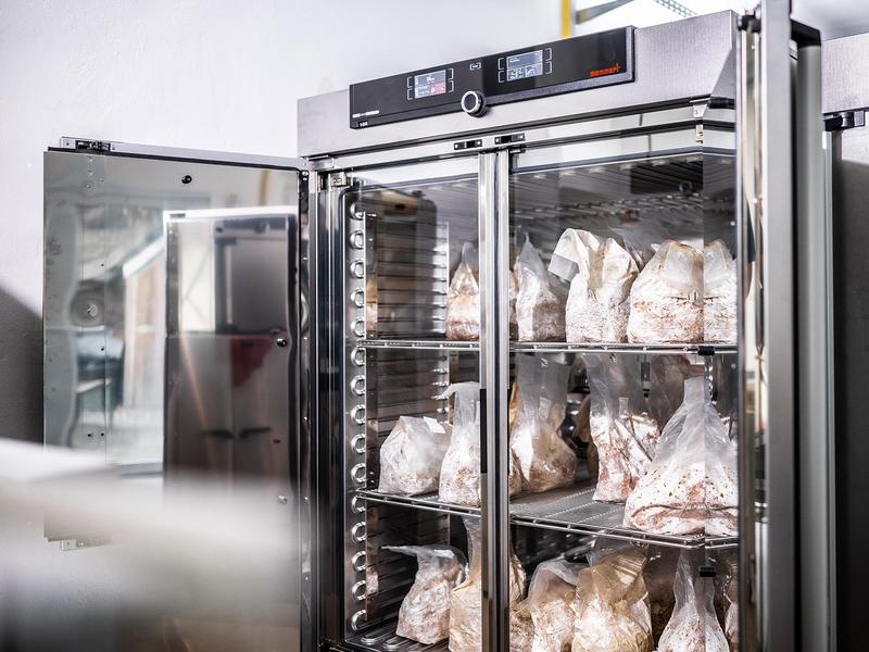 Incubation of the substrates