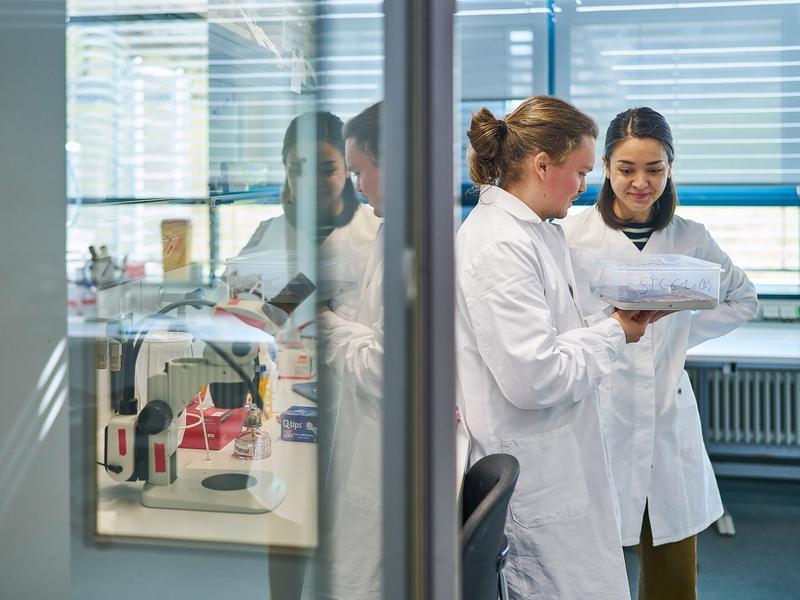 Baptiste Piqueret und Yuko Ulrich