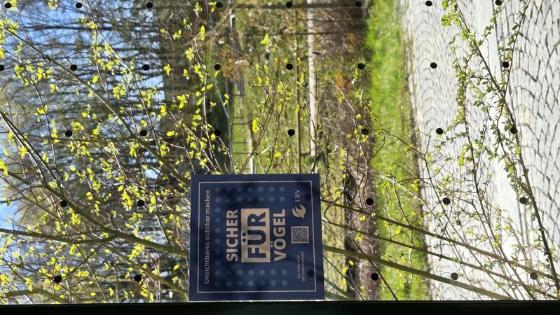Vom LBV zur Verfügung gestellt Aufkleber machen auf die Fensterbeklebungen zum Schutz der Vögel aufmerksam und geben über einen QR-Code Hintergrundinformationen zum Sinn und Nutzen der Maßnahmen, so soll eine noch bessere Sichtbarkeit geschaffen werden.