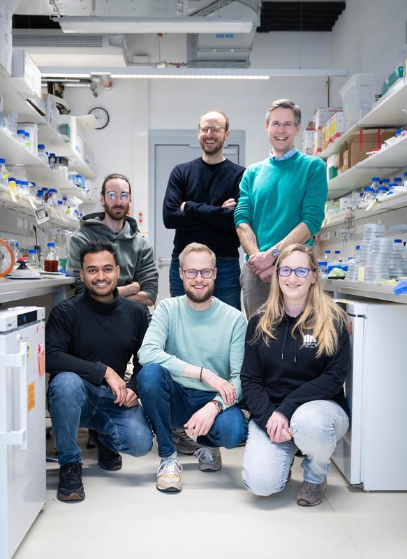 ISTA-Kooperation zwischen den Gruppen von Martin Loose und Florian Schur. Hinten, von links nach rechts: Roman Hajdu, Martin Loose, Florian Schur. Vorne, von links nach rechts: Manjunath Javoor, Benjamin Springstein, Bettina Zens.