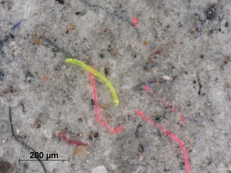Exemplary picture of a filter cake with deposited microplastic fibers