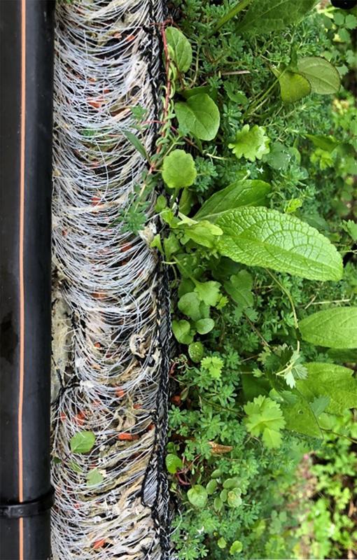 Ausgezeichnete Lösung für vertikale Bepflanzung: Detail des Grünfassadenmoduls fabric GREEN in Seitenansicht.