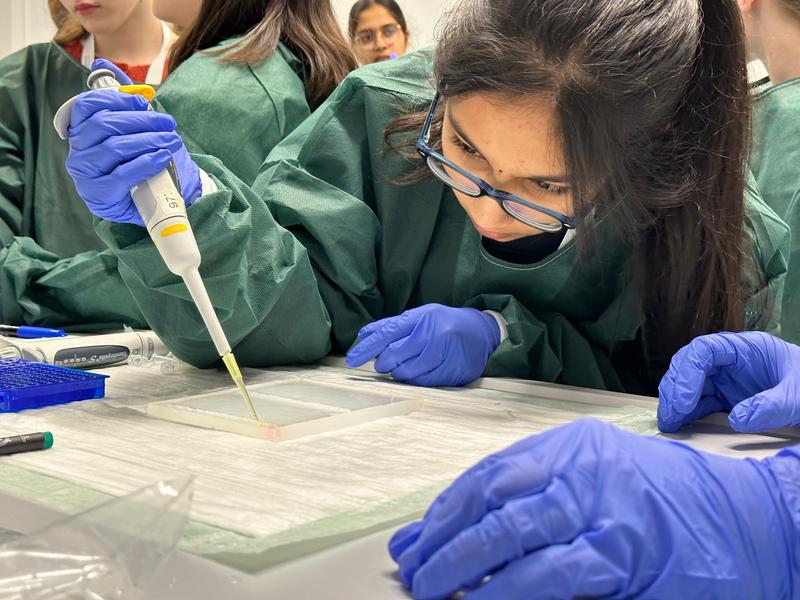 Sowohl am MPL als auch am MPZPM können sich die Teilnehmerinnen wie Wissenschaftlerinnen fühlen. 