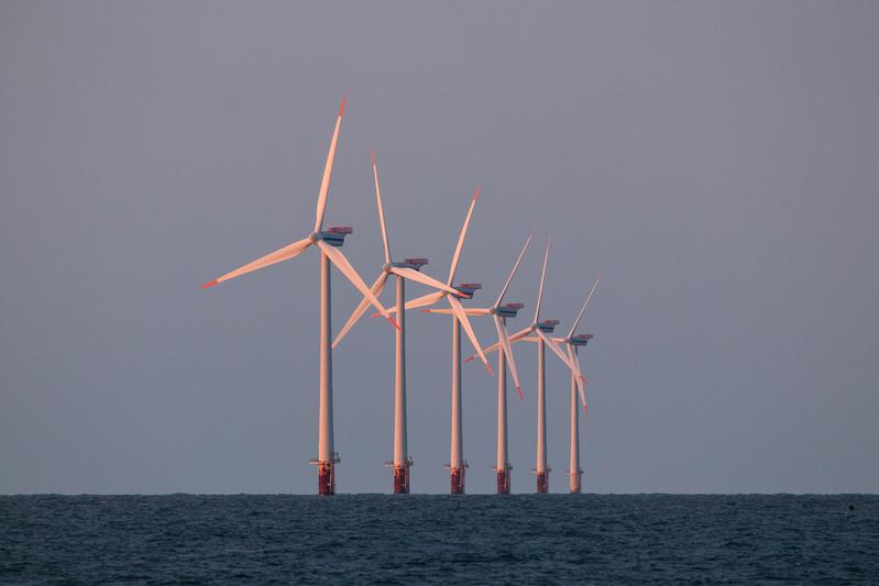 Wind turbines as habitats: Edible crabs and lobsters are increasingly settling at the base of the pylons.