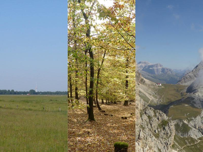 Nature reserve Hollerland near the University of Bremen, Forest with autumn foliage in Hesse, Germany; Alpine summit in the Dolomites, South Tyrol, Italy