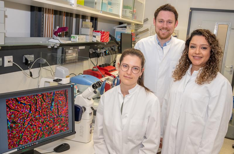 (from left): Julia Nicke, Dr Fabian Ebach and Dr Mona Malek Mohammadi have found that an early “cardiac conditioning” procedure activates the body’s own regenerative mechanisms.
