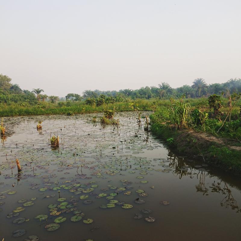 Sub-Saharan landscapes can provide the ideal breeding ground for malaria carrying mosquitoes