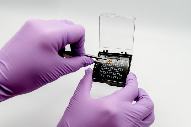 Der neuartige Sensor