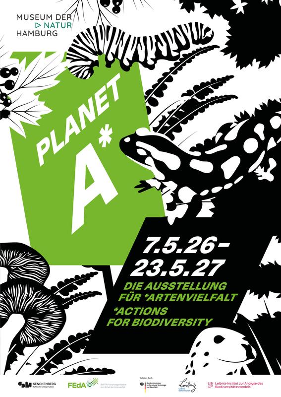 Die Wanderausstellung führt prägnant vor Augen, was die biologische Vielfalt einzigartig macht und was sie gefährdet.