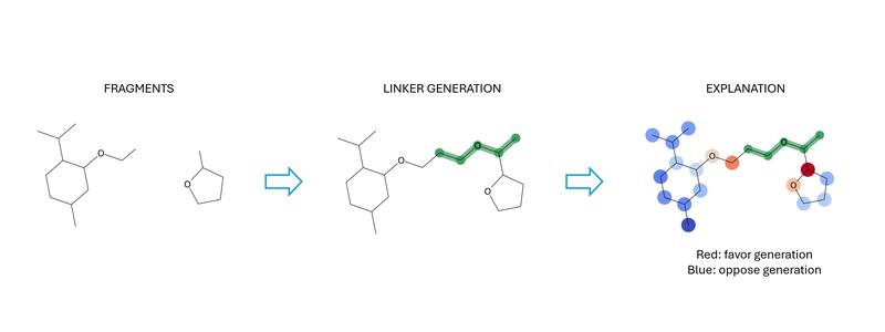 Isolated fragments are connected by a linker, generated by the diffusion model. DiffSHAPer rationalizes the process, by determining which atoms favor (or oppose) the generation. 