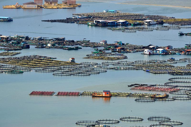 Nitrogen inputs from agriculture or aquaculture facilities – seen here in the Xincun Lagoon in the south-east of Hainan Island – as well as increasing urbanisation and coastal development are accelerating reef degradation in the region
