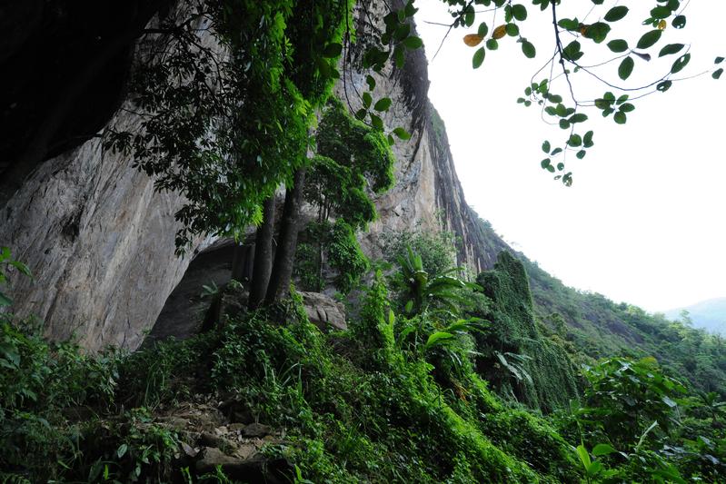 Eingang zur Fa-Hien-Lena-Höhle, einer der wichtigsten archäologischen Stätten, die Gegenstand dieser Studie sind. Sie liegt auf einer Klippe und bietet einen Blick auf den umliegenden tropischen Regenwald