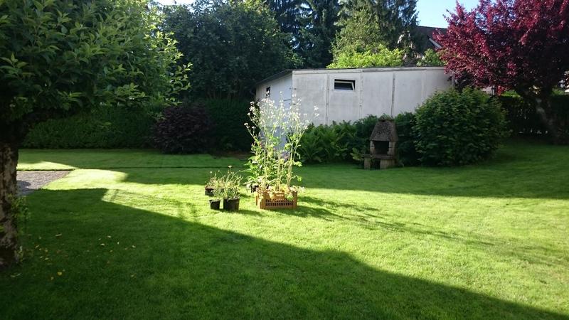 One of the 24 experimental gardens in which volunteers protocoled and captured each insect visiting flowers for hours.