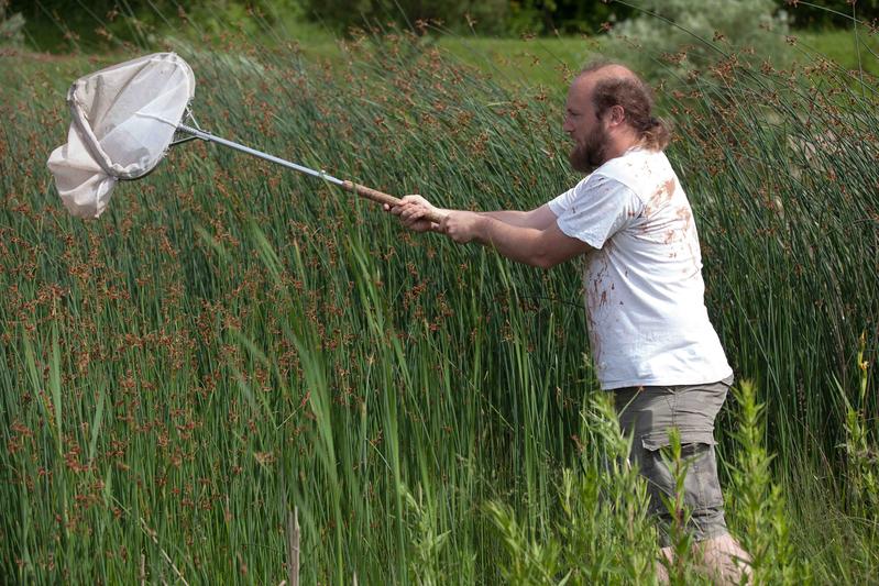 Arteninventur Bioblitz