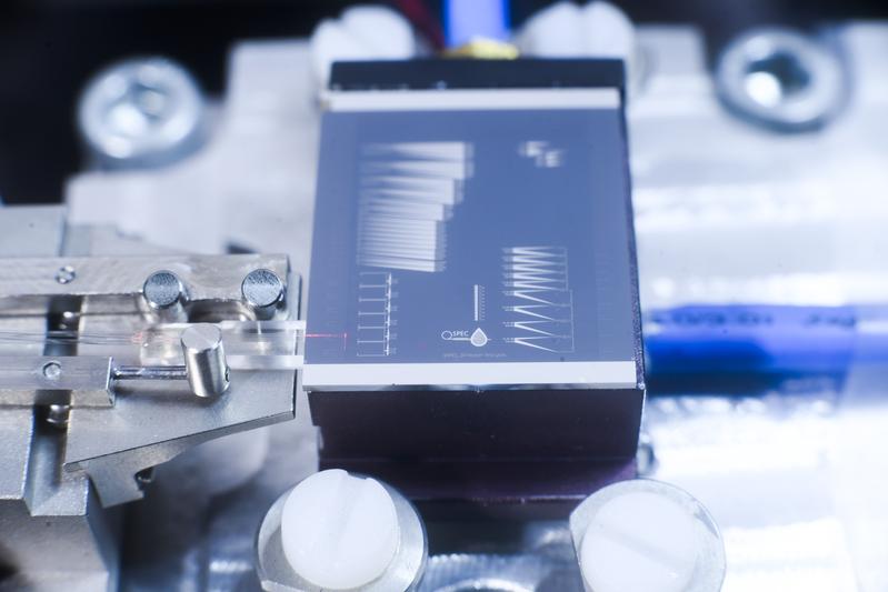 In the future, photonic chips such as this one will be used to analyze the composition of food products.