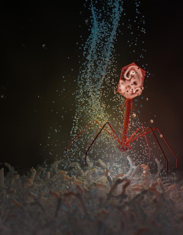 The soil bacterium Streptomyces is a known producer of small, bioactive molecules, which can have antibacterial, anticarcinogenic or antiviral properties.