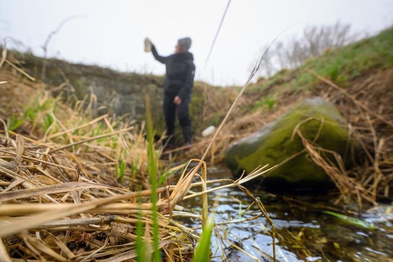 Im IGB-Freilandobservatorium Demnitzer Mühlenfließ wird der Wasser- und Stickstoffhaushalt der Landschaft detailliert untersucht.