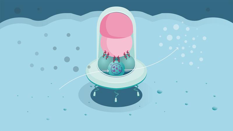 Der Nanoroboter kann sich an bestimmten Oberflächen anheften und dort Enzymreaktionen durchführen. Die Enzyme (lila) im Inneren der Nutzlastkapsel verarbeiten Moleküle aus der Umgebung (links, dunkelgrau) zum gewünschten Produkt (rechts, hellgrau).