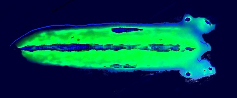 Dreidimensionale Verteilung von Kristallwasser in einem Donnerkeil. ©Fraunhofer IBMT