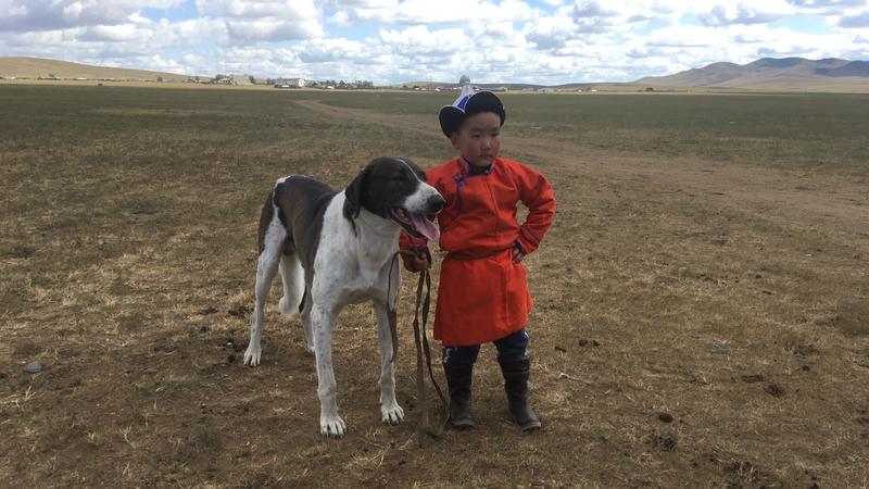 Ein Junge und sein Hund in der Mongolei: Die enge Beziehung zwischen Hunden und Menschen, wie sie in westlichen Gesellschaften zu beobachten ist, existiert auch in anderen kulturellen Kontexten.