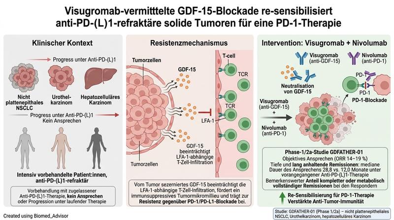 Visugromab vermittelte GDF 15 Blockade re-sensibilisiert anti PD (L)1 refraktäre solide Tumoren für eine PD 1 Therapie.