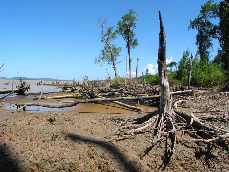 Erosion an den Küsten ist ein großes Problem in Cayenne (Französisch-Guyana) 