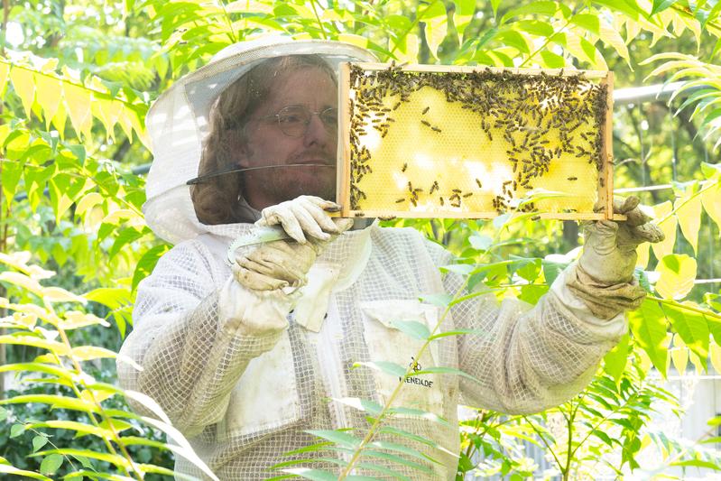 Das Bee Lab ist eine offene Forschungsplattform, an der sich Interessierte aus der gesamten Hochschule beteiligen können.