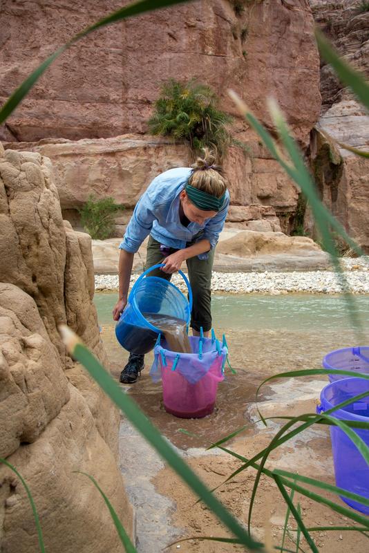 Erstautorin Jade Whitlam trennt im Wadi el-Hasa mittels Flotation verkohlte Getreidekörner der Fundstelle Sharara aus Bodenproben.