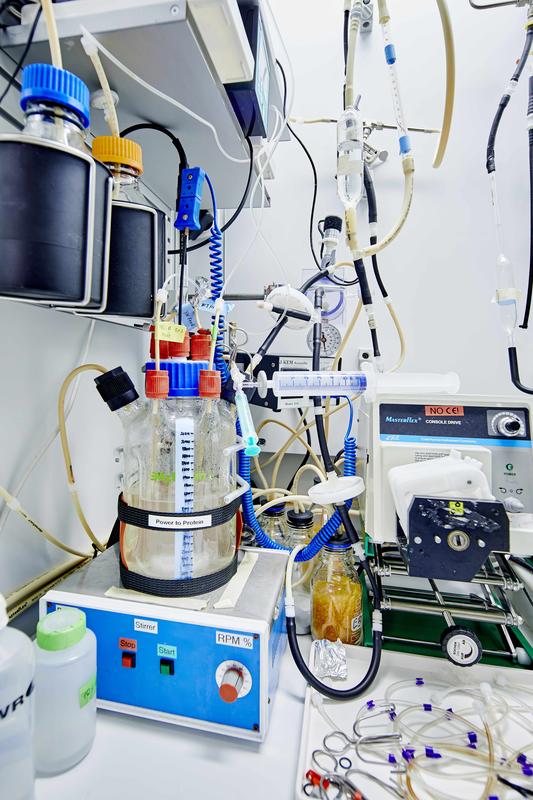 In the laboratory run by environmental biotechnologist Lars Angenent, researchers are investigating microbial processes to enable the production of proteins and vitamins for human consumption from simple chemical raw materials.