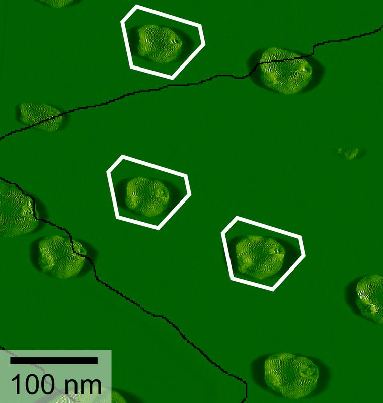 Diese Rasterkraftmikroskopie-Aufnahme aus der Studie zeigt Eiskristalle (exemplarisch mit weißen Sechsecken markiert), die auf dem Mineral Mikroklin gewachsen sind. Schwarze Linien kennzeichnen Stufenkanten der ansonsten atomar flachen Oberfläche.