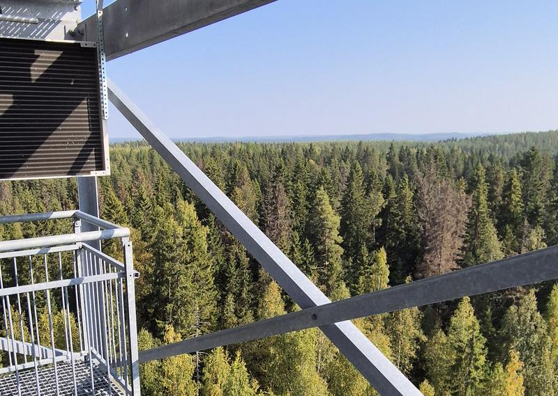 Forschungsstation Hyytiälä im borealen Wald in Finnland.