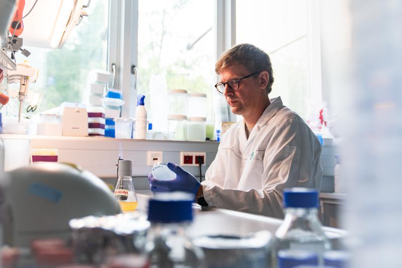 ISTA researchers show how bacteria use viruses to reshuffle DNA under starvation stress  in a process resembling a primitive form of sexual reproduction. Postdoc Pavel Payne, the study’s first author, in the lab.
