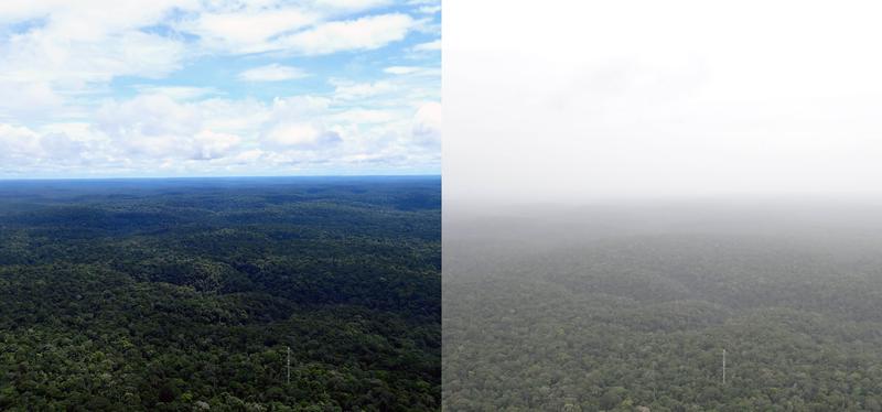 An klaren Tagen wie am 24.2.2020 (links) reicht der Blick vom ATTO-Turm weit über den Amazonas-Regenwald. Bei einem Staubeintrag wie am 20.2.2020 (rechts) ist der Himmel so getrübt, dass der Horizont nicht zu erkennen ist.