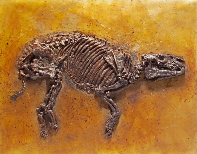 Großes "Hessisches" Urpferd, Gesamtlänge etwa 96 cm