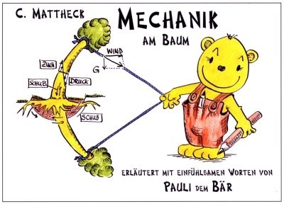 Wie gewohnt leicht verständlich und einprägsam: In Professor Claus Mattheck's neuestem Buch zur Baummechanik erläutert Pauli der Bär mit einfühlsamen Worten wissenschaftliche Zusammenhänge.